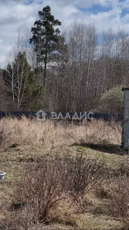 Участок в Бурятия, Кабанский район, Цементник СНТ ул. Березовая, 9 ... - Фото 1