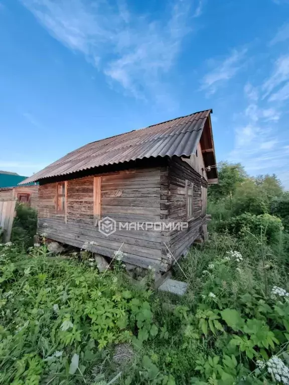 Участок в Архангельская область, Архангельск Малинка СТ, 177 (5.0 ... - Фото 0