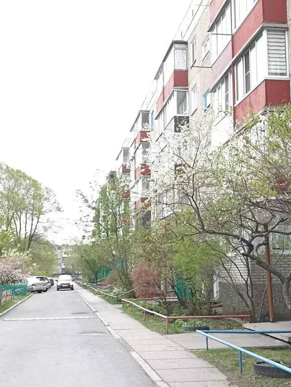 1-комнатная квартира: Абакан, улица Крылова, 77 (31 м) - Фото 0