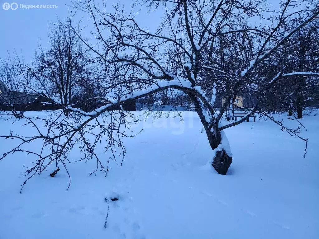 Участок в Брянский район, Мичуринское сельское поселение, СДТ ... - Фото 2