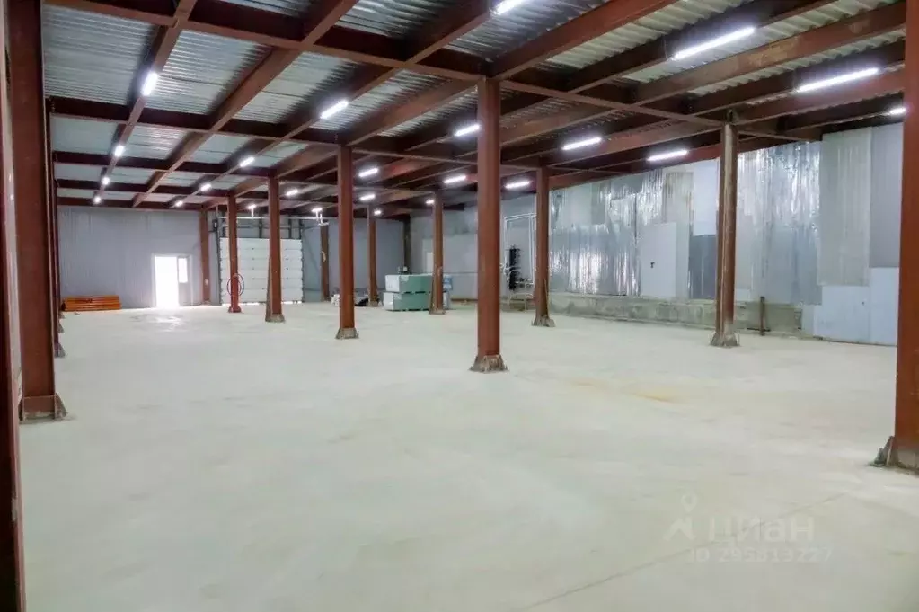 Склад в Московская область, Химки Сходня мкр, ул. Некрасова, 70 (610 ... - Фото 1