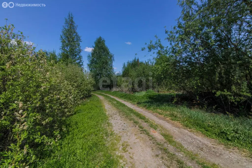 Участок в Нижнетавдинский район, СНТ Ромашка (10.52 м) - Фото 1
