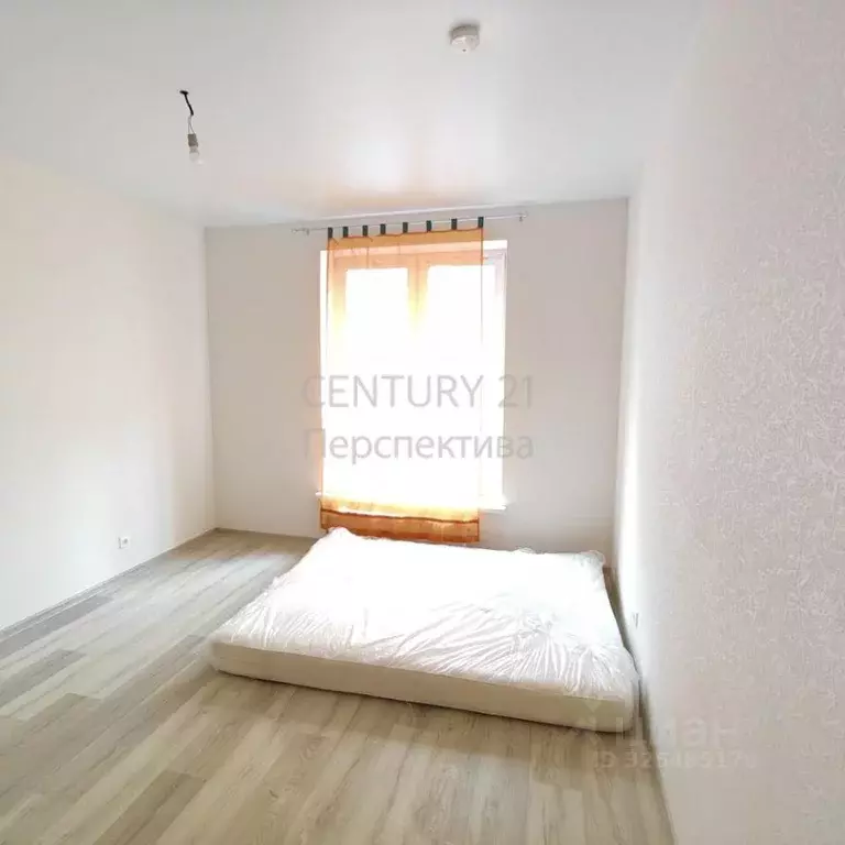 1-к кв. Московская область, Люберцы городской округ, Малаховка пгт, ... - Фото 2