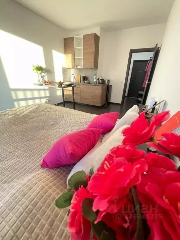 Студия Санкт-Петербург просп. Авиаконструкторов, 69 (25.0 м) - Фото 1