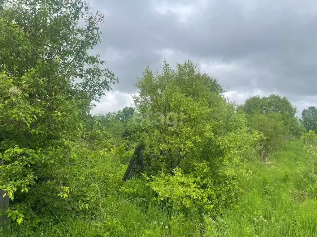 Участок в село Тополево, СНТ Ветерок (6 м) - Фото 0