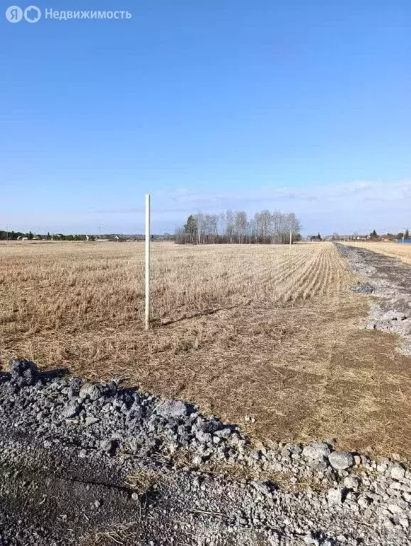 Участок в Свердловская область, Тавда (5.54 м) - Фото 1