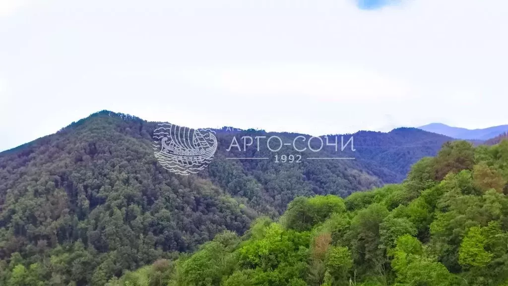 Участок в Краснодарский край, Сочи городской округ, с. Верхнеякорная ... - Фото 1