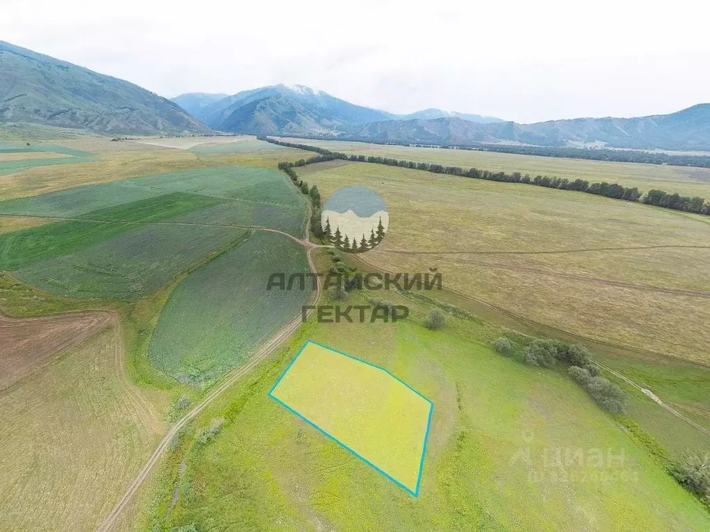 Участок в Алтай, Усть-Коксинский район, с. Катанда  (20.0 сот.) - Фото 1