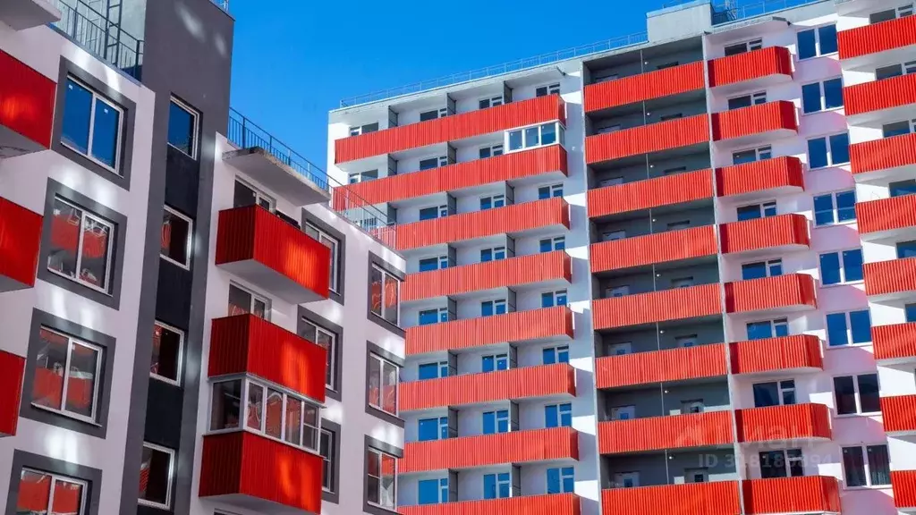 Студия Санкт-Петербург пос. Шушары, Московское ш., 262к4 (26.9 м) - Фото 1