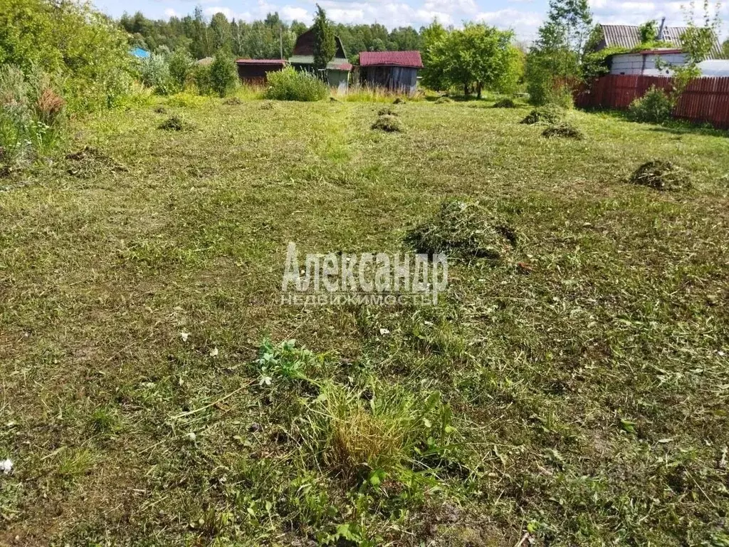 Участок в Ленинградская область, Киришский район, Пчевское с/пос, ... - Фото 0