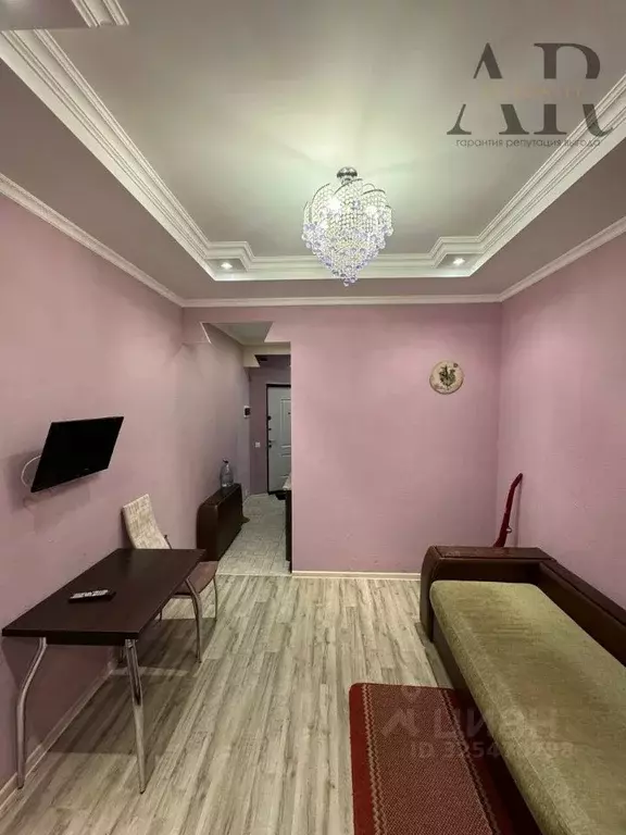 Студия Московская область, Видное проезд 1-й Калиновский, 5 (22.5 м) - Фото 2