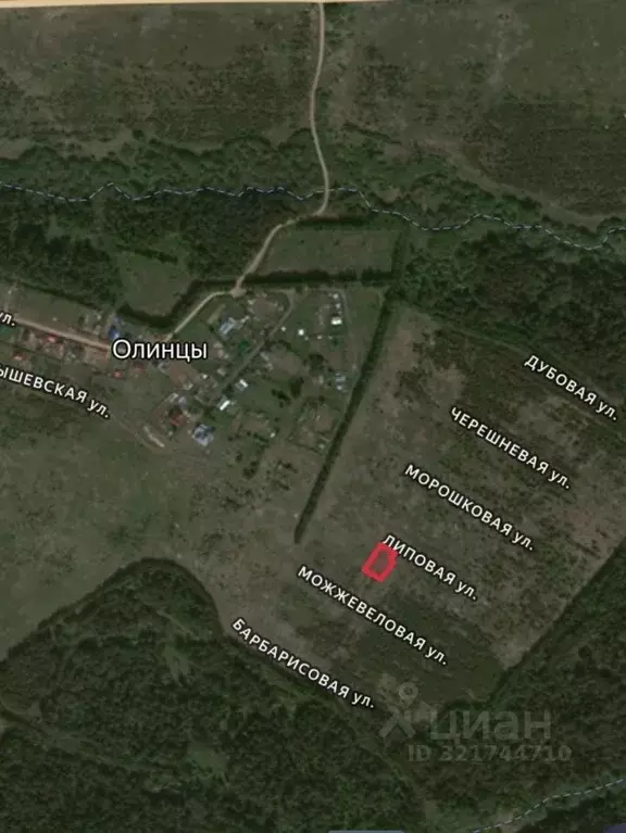 Участок в Кировская область, Киров городской округ, д. Олинцы ул. ... - Фото 1