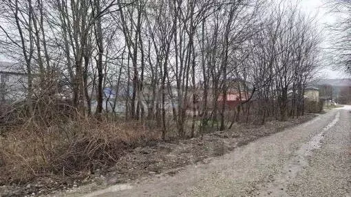 Участок в Краснодарский край, Новороссийск городской округ, с. ... - Фото 1