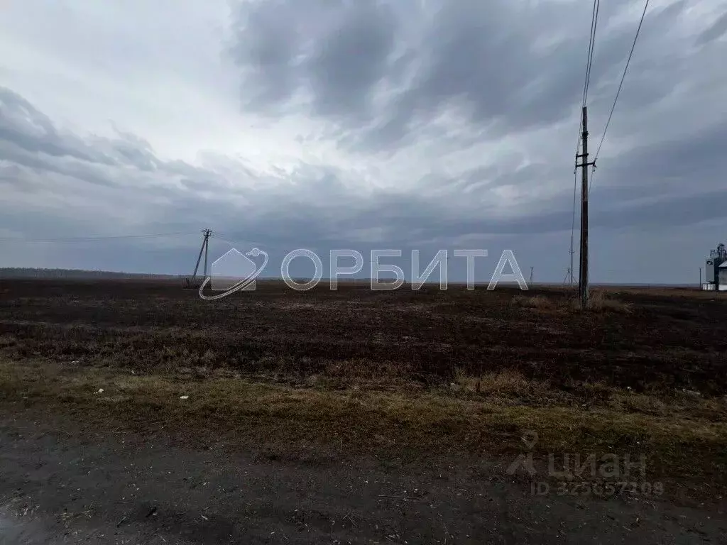 Участок в Тюменская область, Тюменский муниципальный округ, д. Зырянка ... - Фото 2