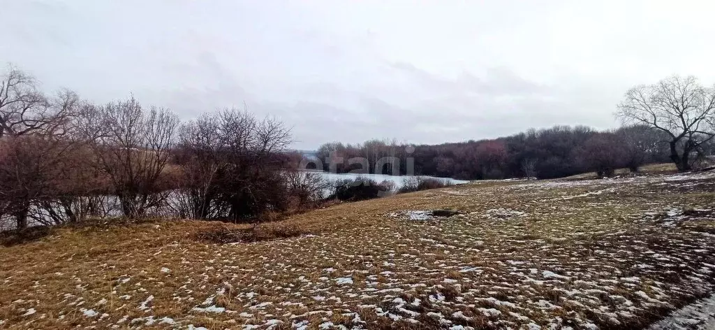 Участок в Белгородская область, Волоконовский район, с. Фощеватово  ... - Фото 0