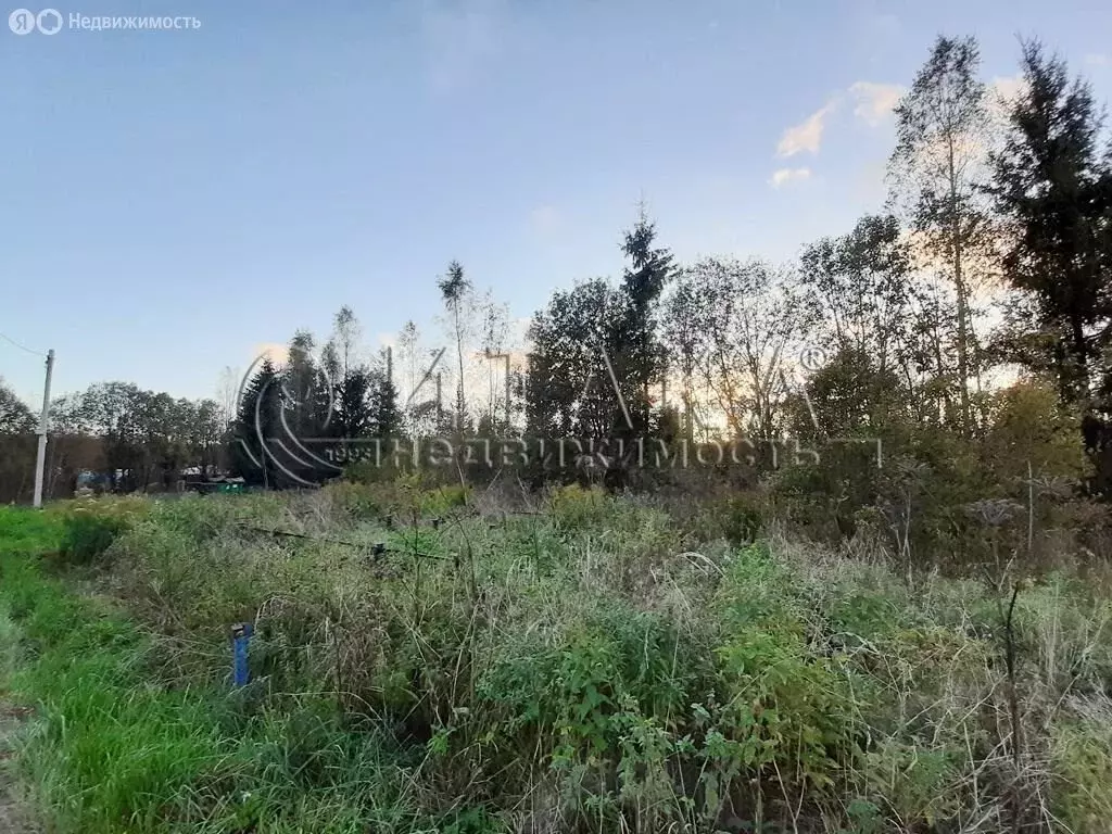 Участок в Опольевское сельское поселение, дачный посёлок НСТ ... - Фото 2