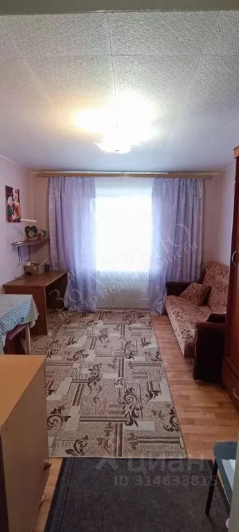 Комната Воронежская область, Воронеж ул. Любы Шевцовой, 21 (8.0 м) - Фото 0