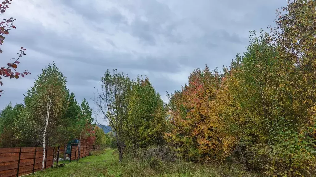 Участок в Алтай, Чемальский район, с. Анос  (12.05 сот.) - Фото 1