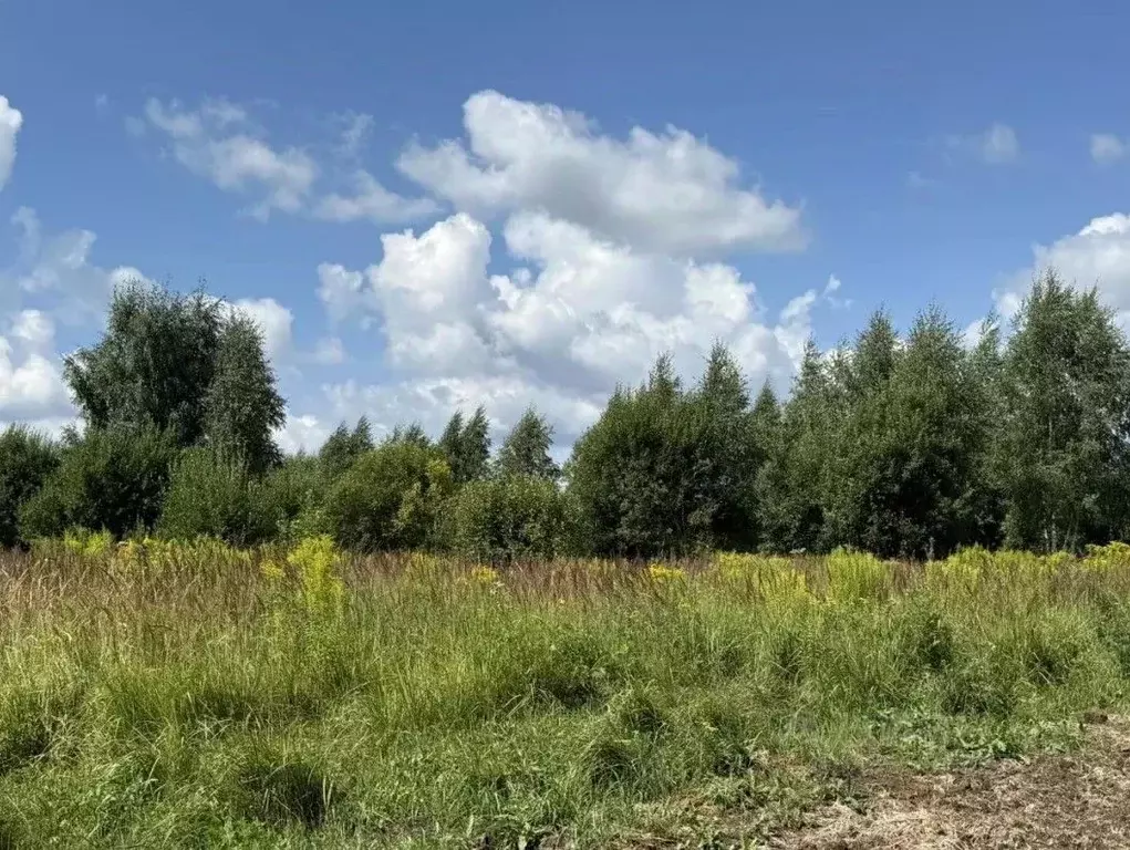 Участок в Московская область, Серпухов городской округ, с. Липицы  ... - Фото 1