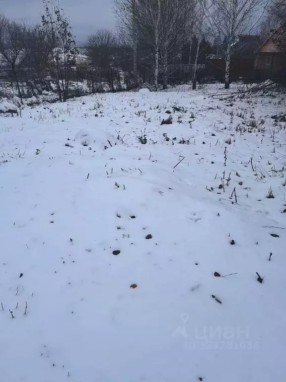 Участок в Алтайский край, Барнаул городской округ, с. Власиха  (10.0 ... - Фото 1