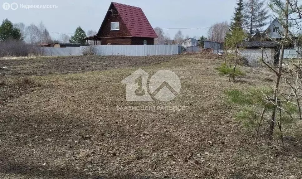 Участок в Колыванский район, СНТ Авиастроитель, 289 (9 м) - Фото 2