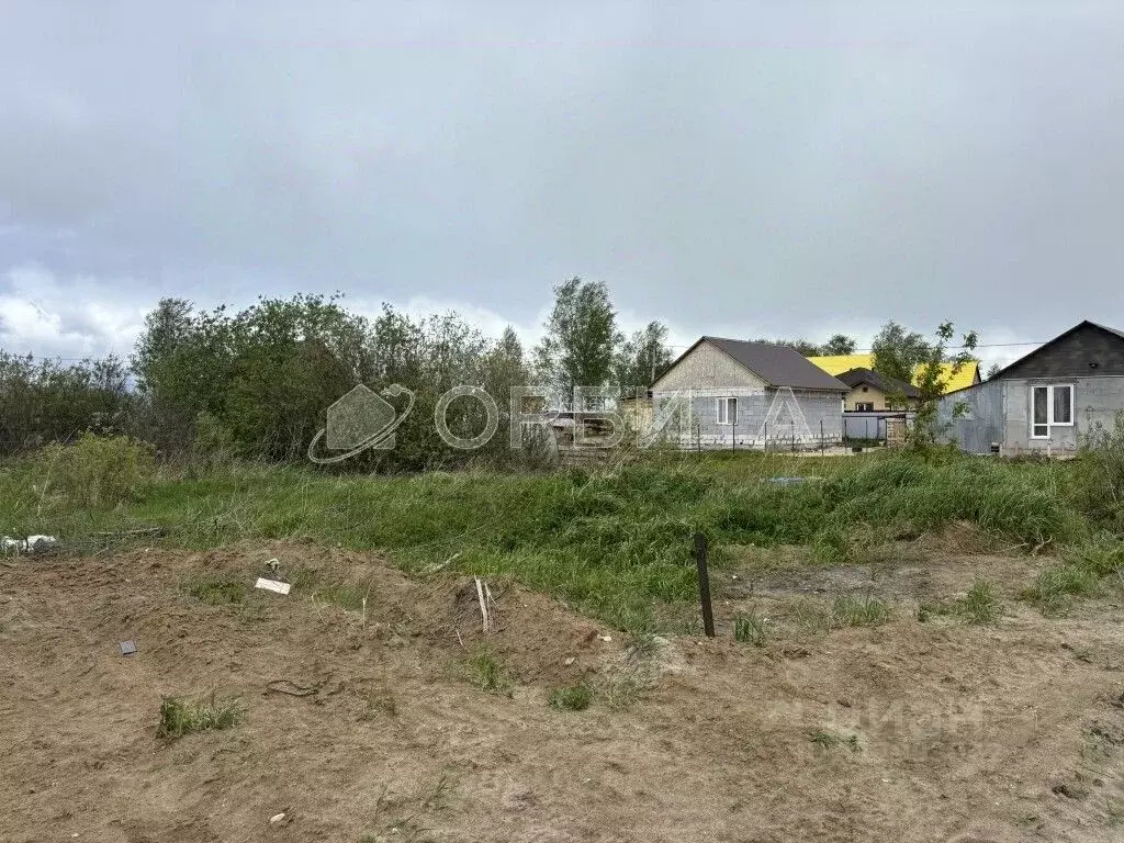 Участок в Тюменская область, Тюмень Царево садовое товарищество, ул. ... - Фото 0