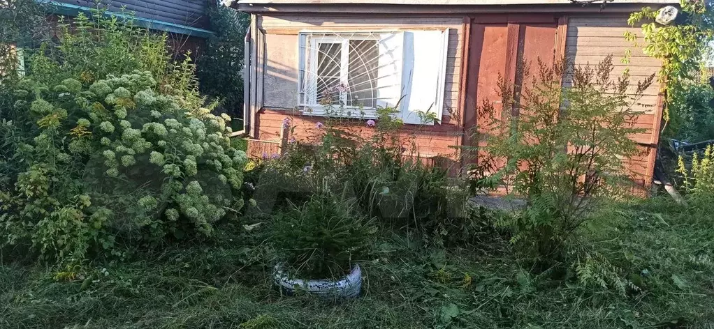 Купить Дачу В Городе Бор