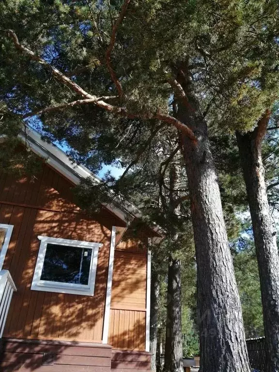 Дом в Карелия, Пряжинский район, Эссойльское с/пос, пос. Сяпся ул. ... - Фото 2