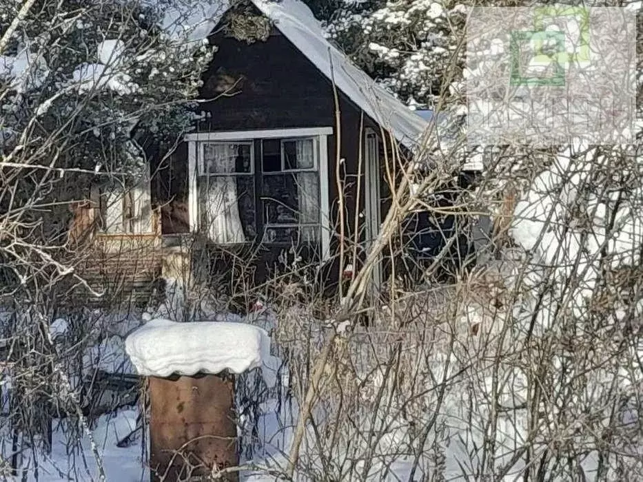 Участок в Ленинградская область, Лужский район, Мшинское с/пос, ... - Фото 1