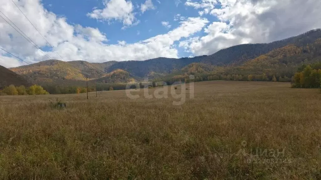 Участок в Алтай, Усть-Канский район, с. Усть-Кан Ленинская ул. ... - Фото 2