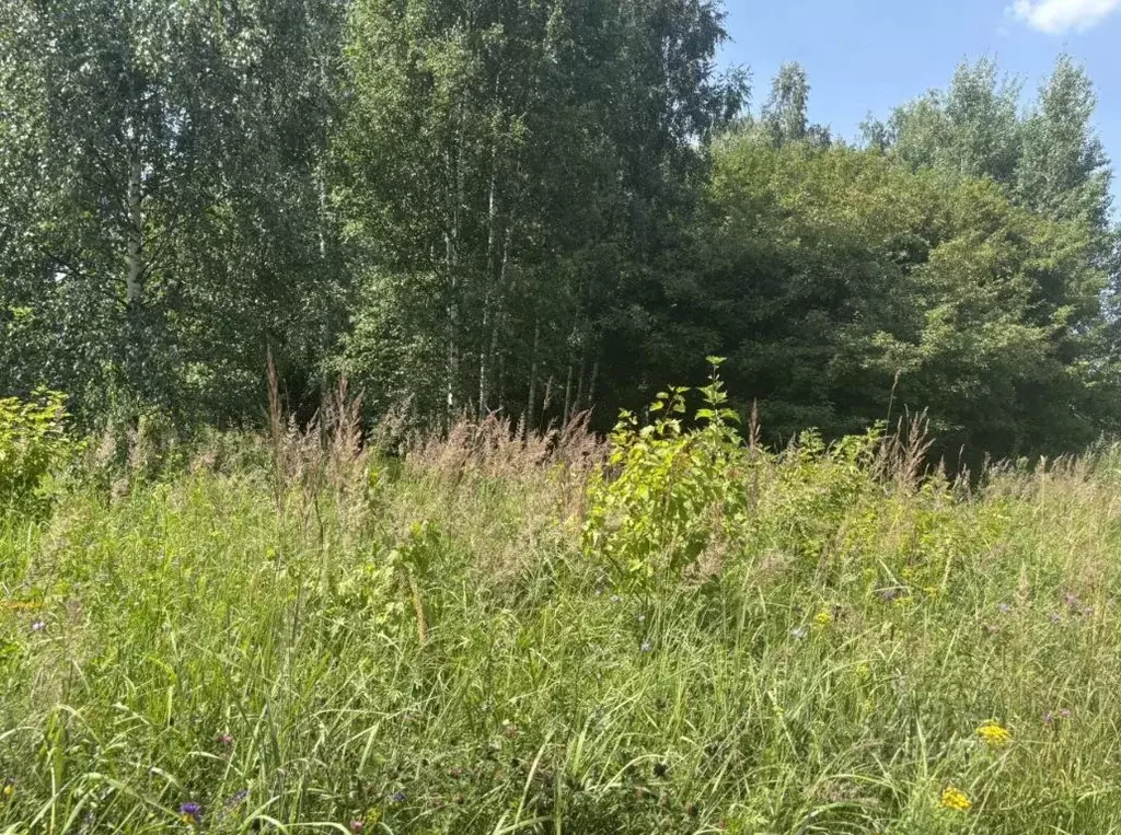 Участок в Московская область, Павлово-Посадский городской округ, д. ... - Фото 1