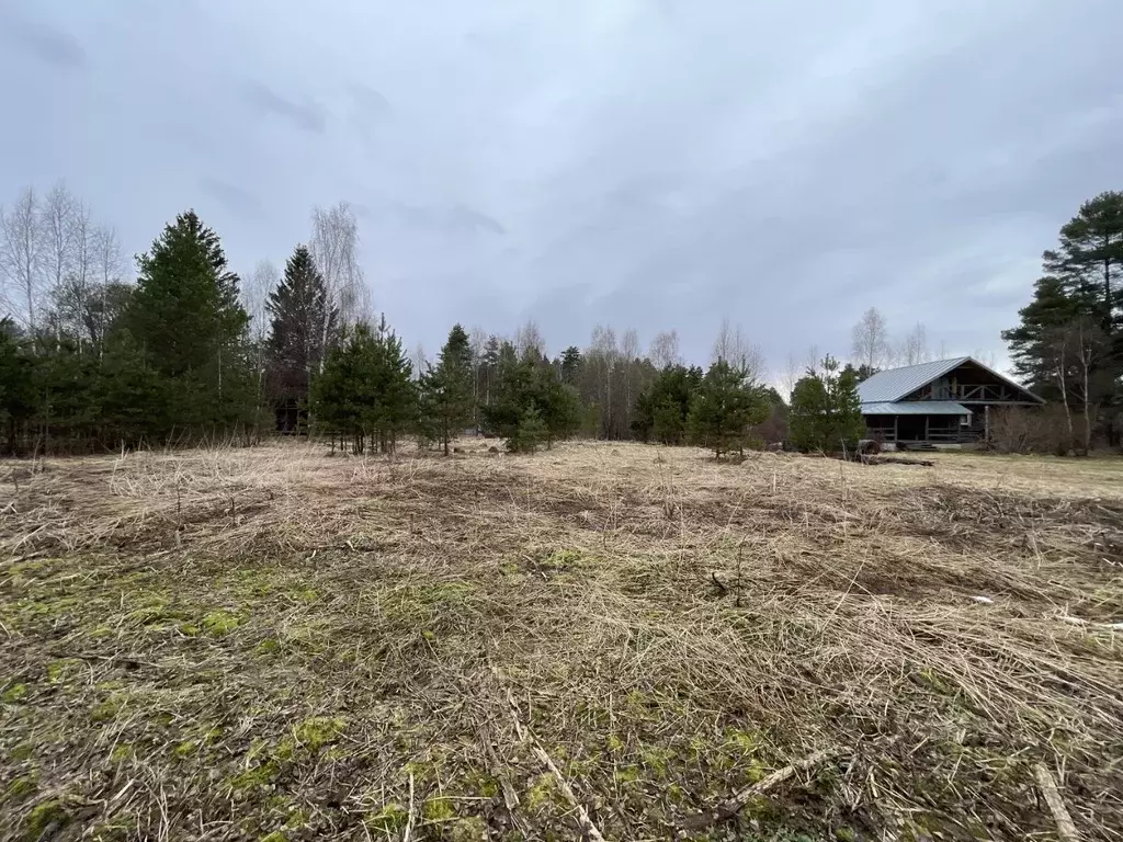 Участок в Московская область, Рузский муниципальный округ, с. ... - Фото 1