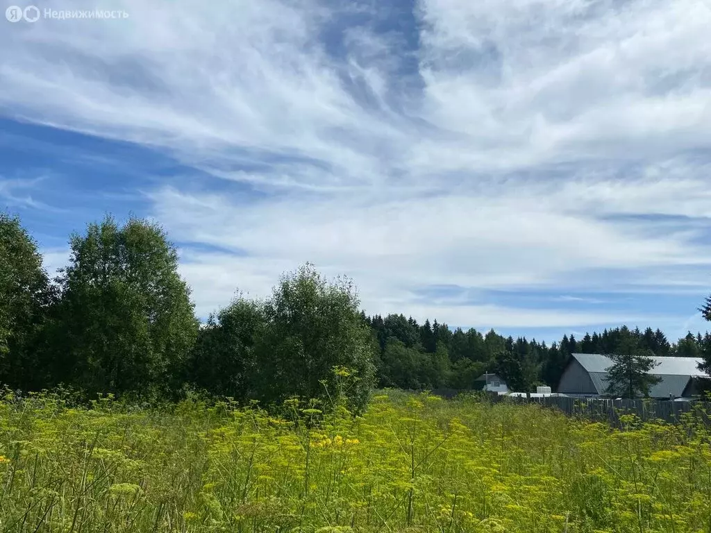 Участок в Волосовский район, Калитинское сельское поселение, деревня ... - Фото 1