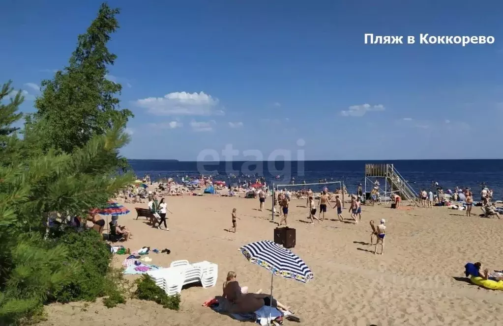 Участок в Ленинградская область, Всеволожский район, Рахьинское ... - Фото 1