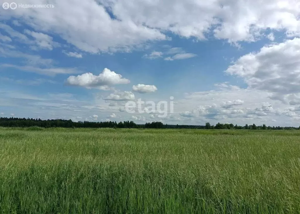 Участок в Пермский муниципальный округ, деревня Качка (7 м) - Фото 1