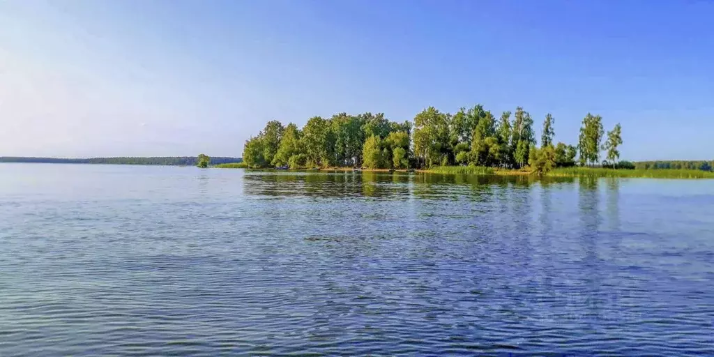 Участок в Московская область, Клин городской округ, Решетниково рп, ... - Фото 1