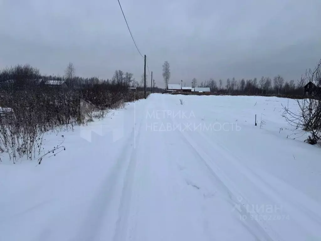 Участок в Тюменская область, Нижнетавдинский район, Сочинские СНТ  ... - Фото 0