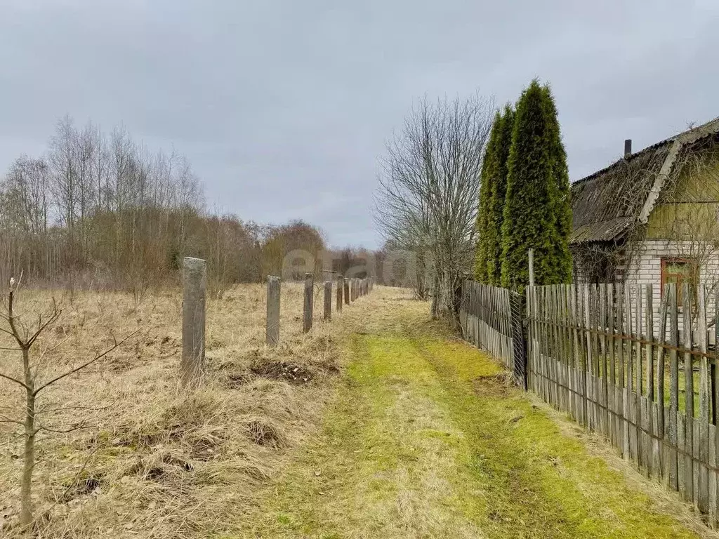 Участок в Псковская область, Печоры Вишенка садовое товарищество,  ... - Фото 1