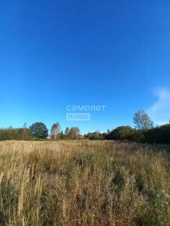 Участок в Московская область, Орехово-Зуевский городской округ, д. ... - Фото 1