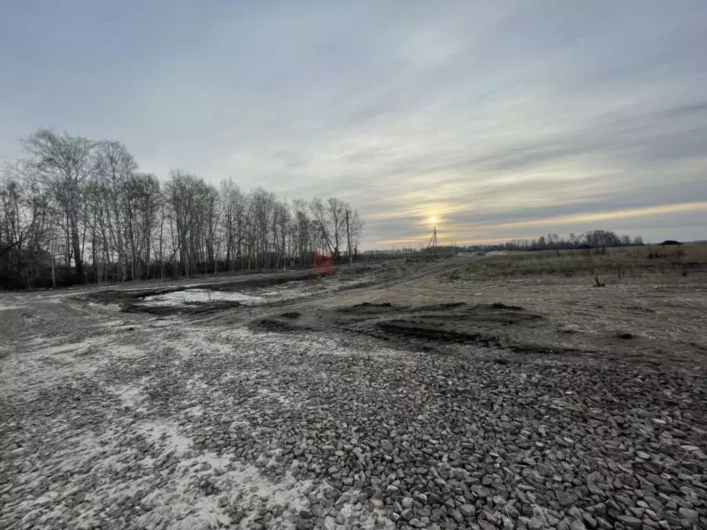 Участок в Тюменская область, Тюмень Березняковский мкр, ул. ... - Фото 1