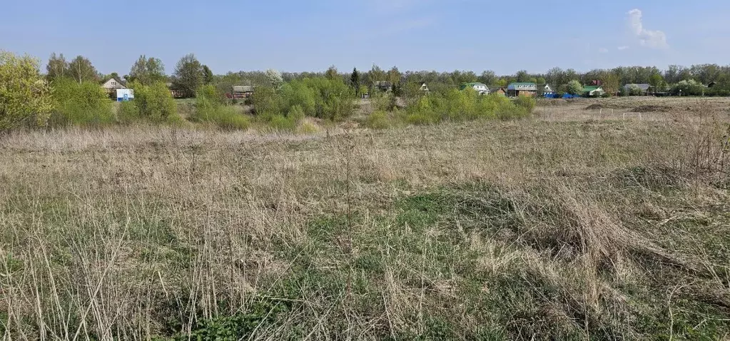 Участок в Московская область, Луховицы муниципальный округ, д. ... - Фото 0