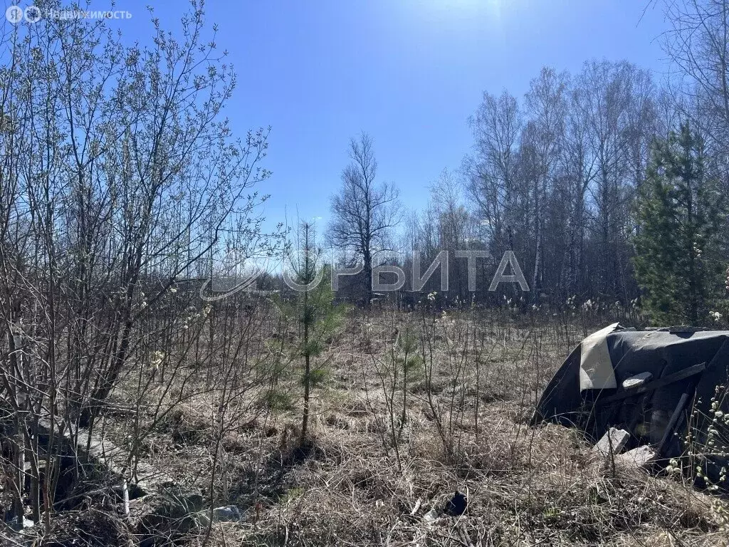 Участок в Тюмень, СНТ Меридиан (16.2 м) - Фото 2
