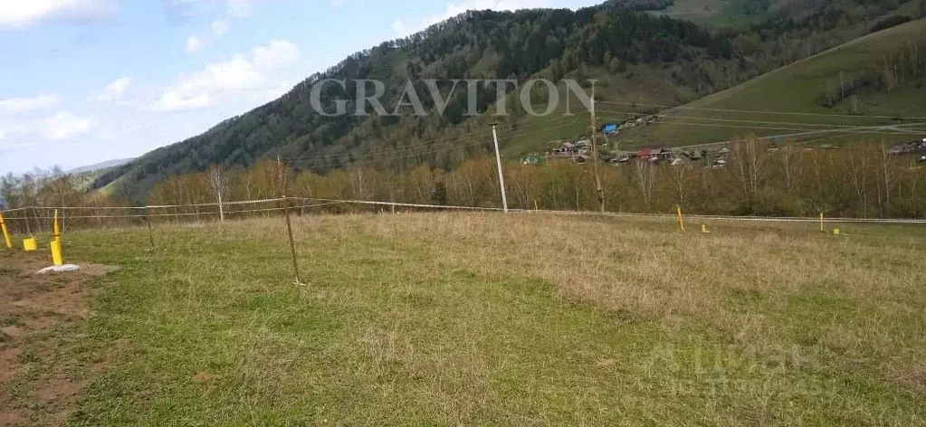 Участок в Алтай, Майминский район, с. Бирюля ул. Луговая, 68 (12.0 ... - Фото 1