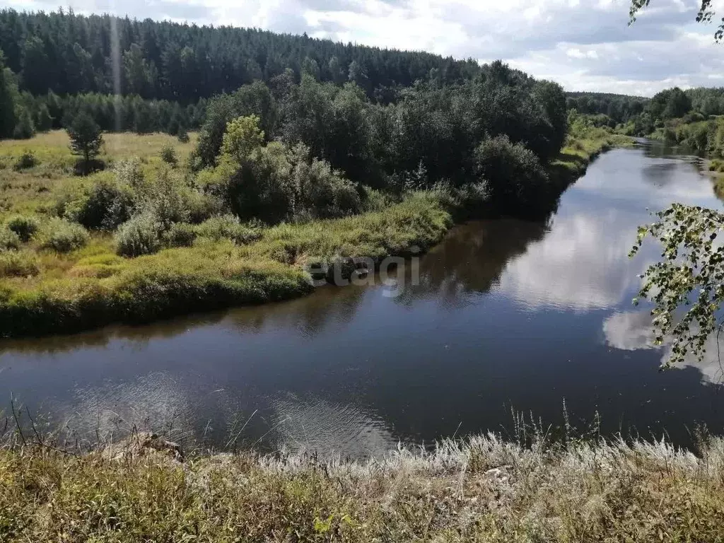 Участок в Свердловская область, Режевской муниципальный округ, с. ... - Фото 0