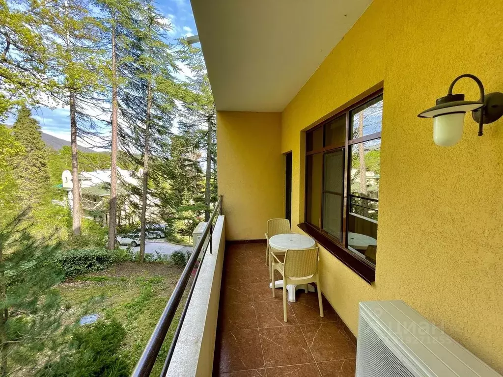 Комната Краснодарский край, Сочи Курортный просп., 120/2А (80.0 м) - Фото 1