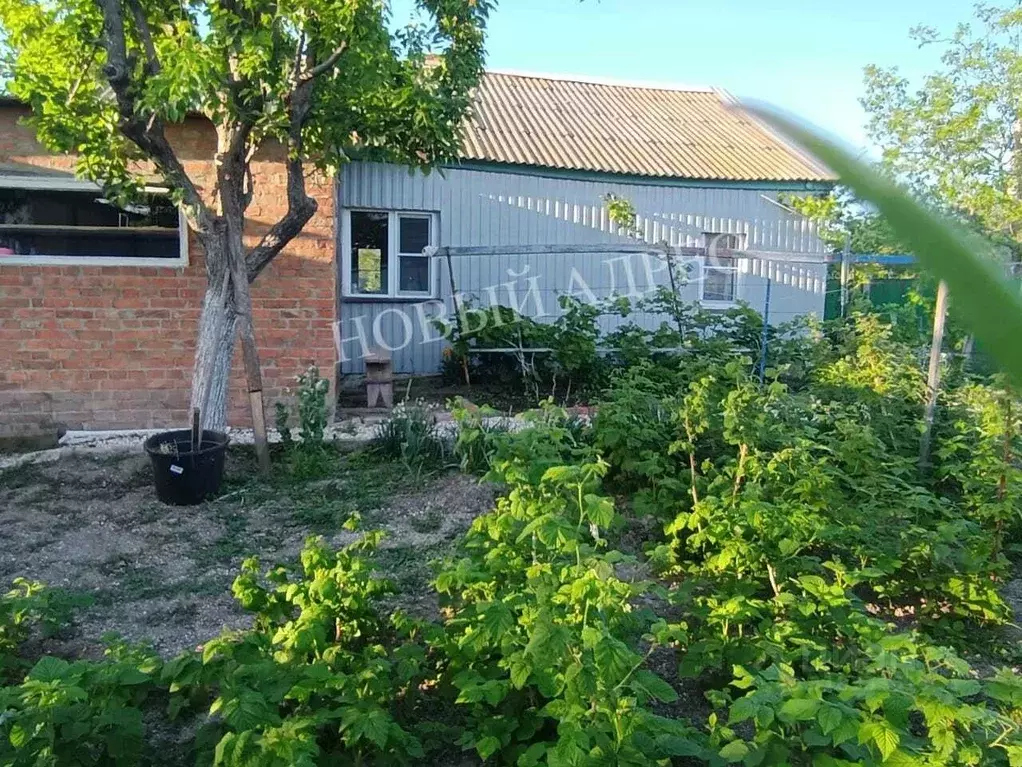 Дом в Краснодарский край, Ейский район, Должанская ст-ца  (60 м) - Фото 0