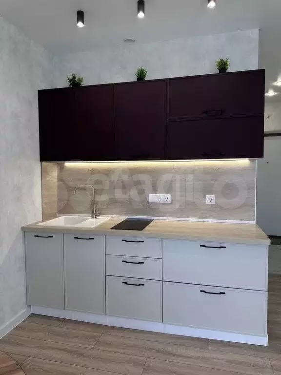Квартира-студия, 25,4 м, 7/10 эт. - Фото 1