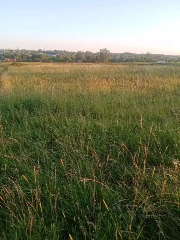Участок в Орловская область, Орловский район, с. Звягинки ул. ... - Фото 1