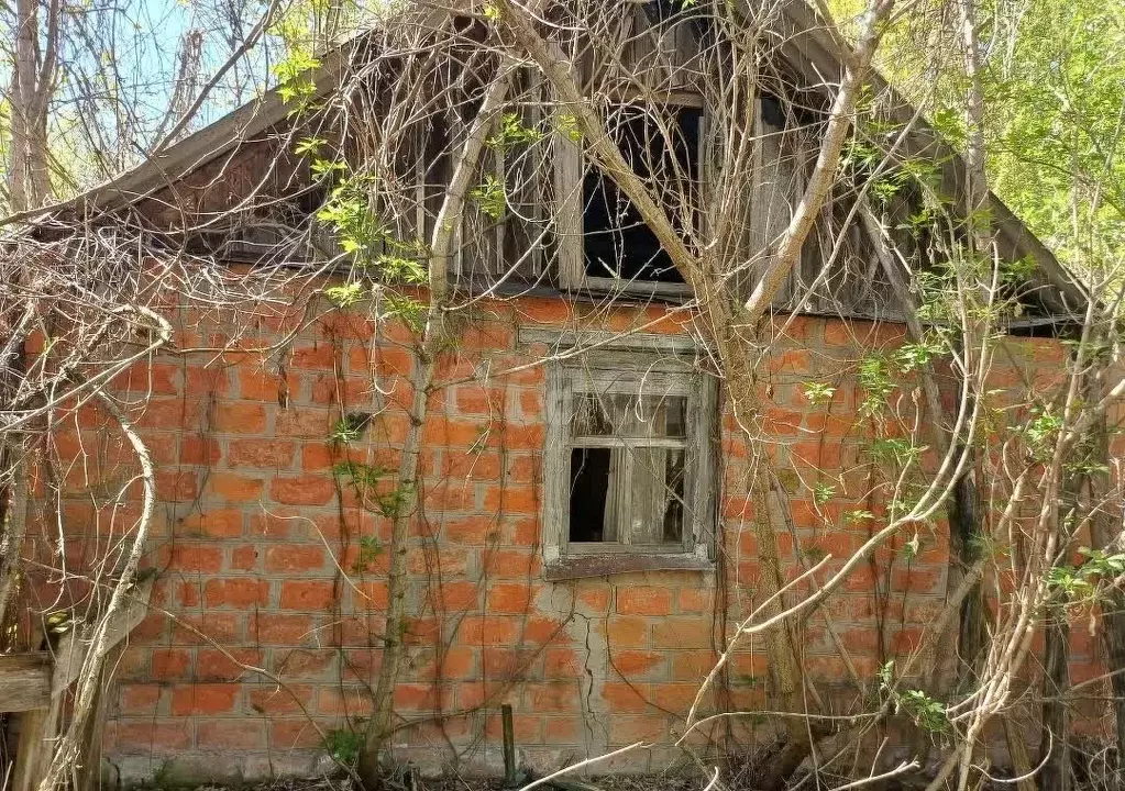 Дом в Белгородская область, Вейделевский район, Должанское с/пос, ... - Фото 1