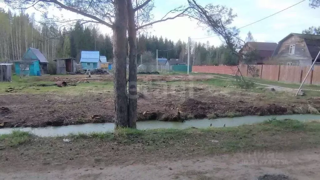 Участок в Ярославская область, Ярославский муниципальный округ, Молния ... - Фото 1